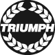 Triumph Car Repair
